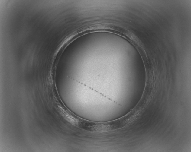 X0000052610789200507011226