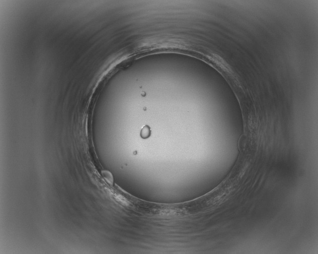 X0000052610790200507011226