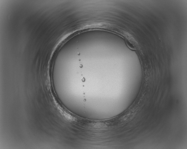 X0000052610792200507011226