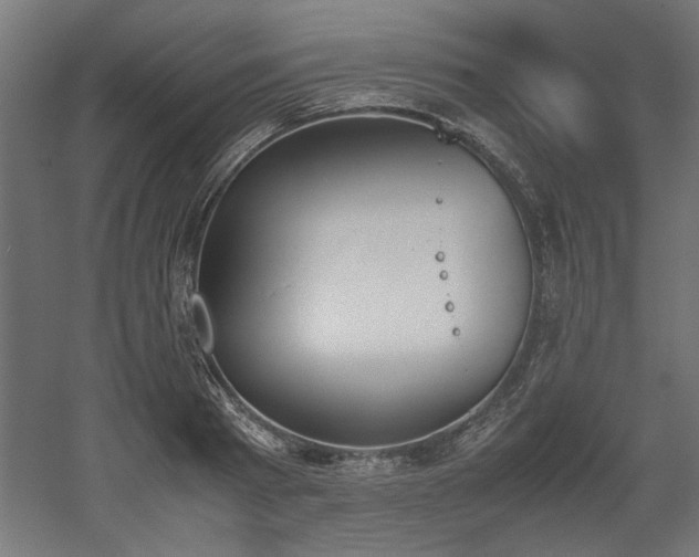 X0000052610793200507011226