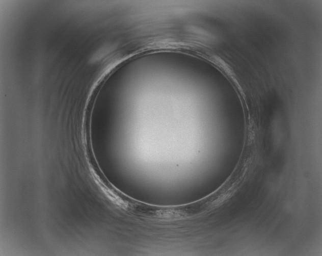 X0000052610795200507011226