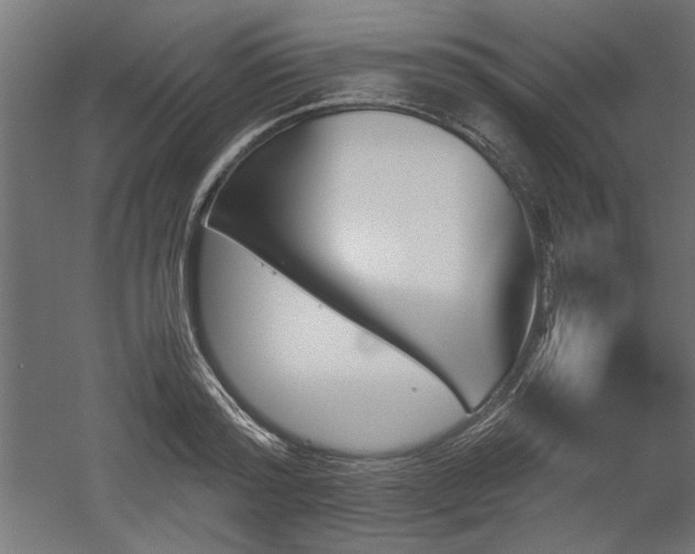 X0000052610796200507011226