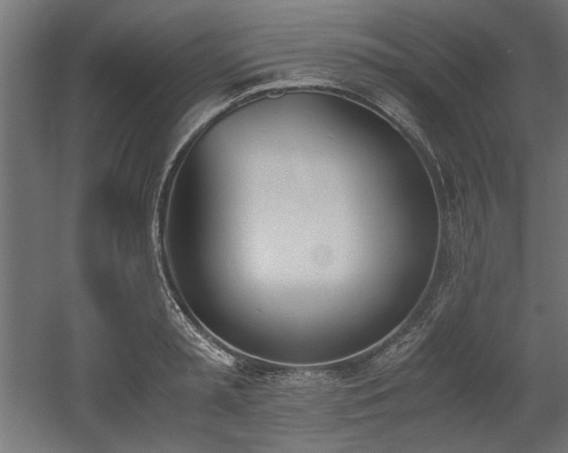 X0000052610797200507011226