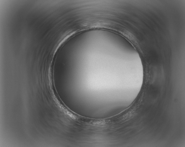 X0000052610798200507011226