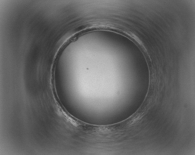 X0000052610799200507011226