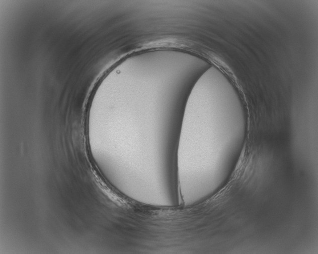 X0000052610800200507011226