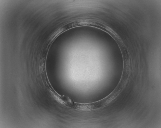 X0000052610801200507011226