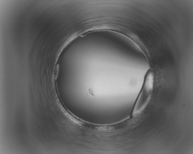 X0000052610805200507011226