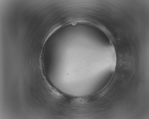 X0000052610806200507011226