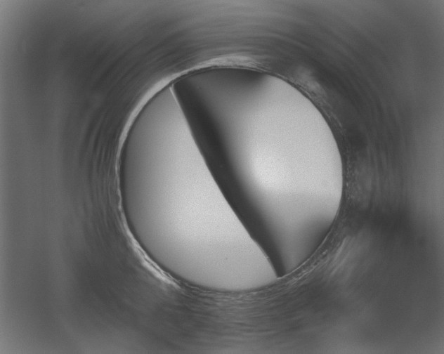 X0000052610808200507011226