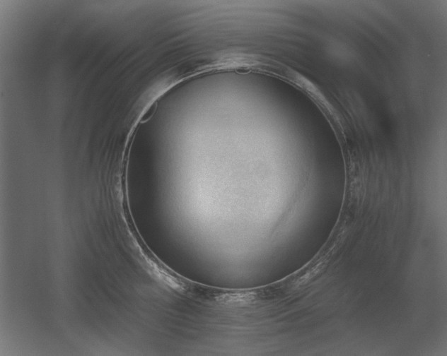 X0000052610810200507011226