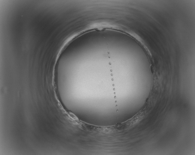 X0000052610815200507011226