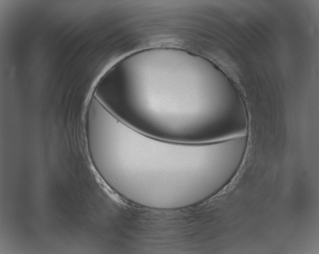 X0000052610816200507011226