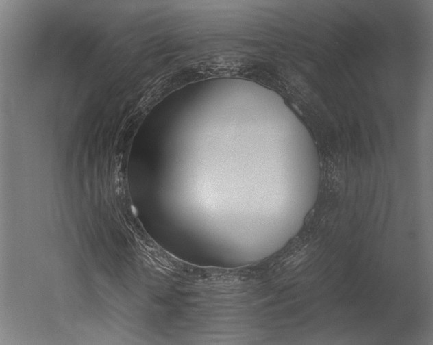 X0000052610818200507011225