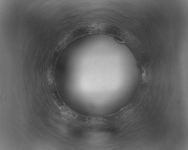 X0000052610819200507011225