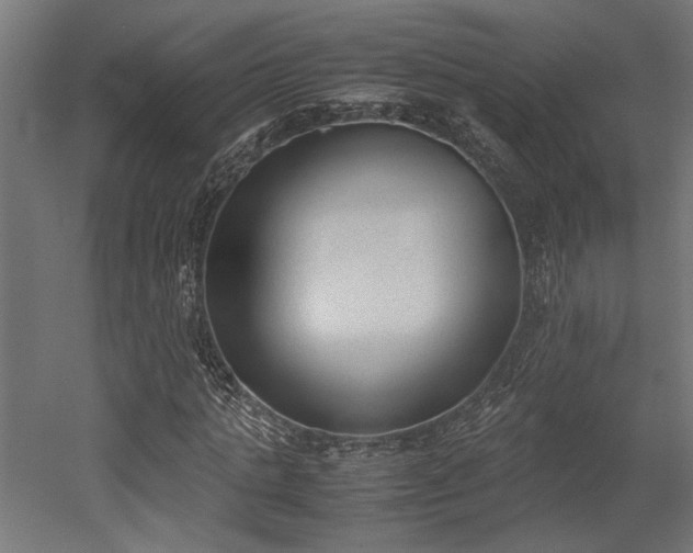 X0000052610821200507011225