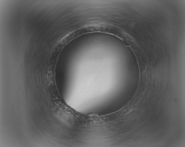 X0000052610822200507011225