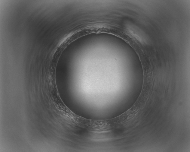 X0000052610823200507011225