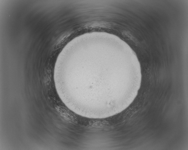 X0000052610824200507011225