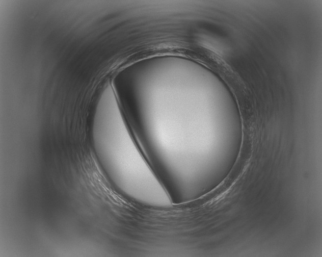 X0000052610825200507011225