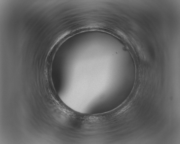 X0000052610827200507011225