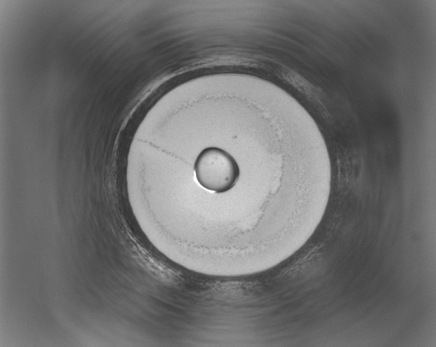 X0000052610828200507011225