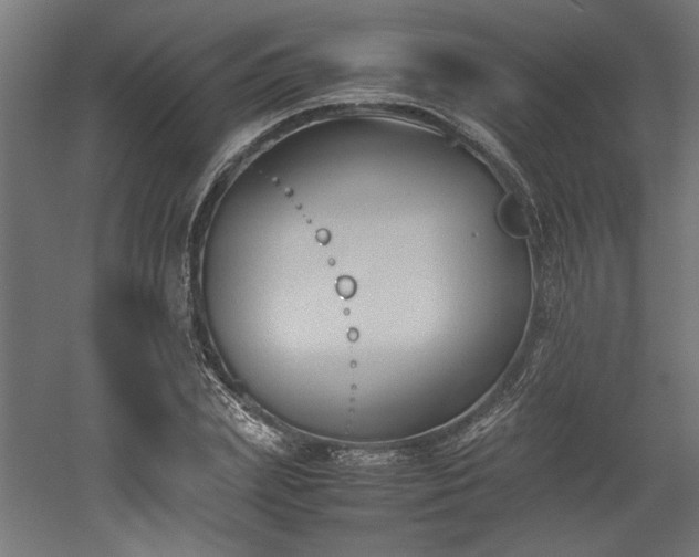 X0000052610831200507011225