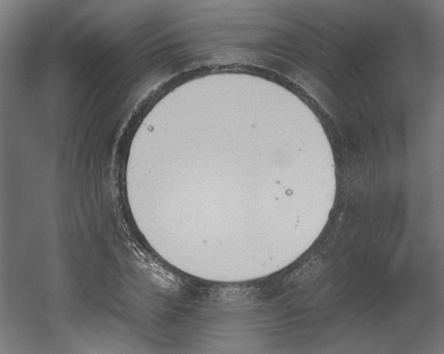 X0000052610832200507011225