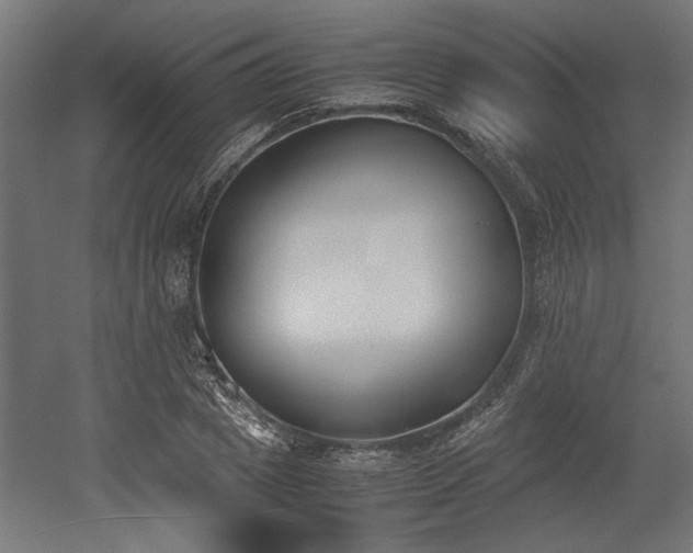 X0000052610833200507011225