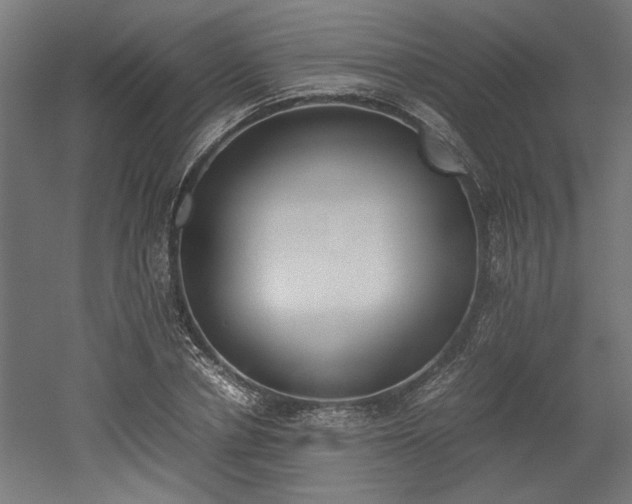 X0000052610834200507011225