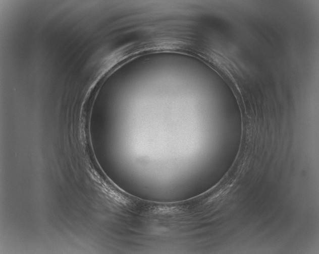 X0000052610835200507011225