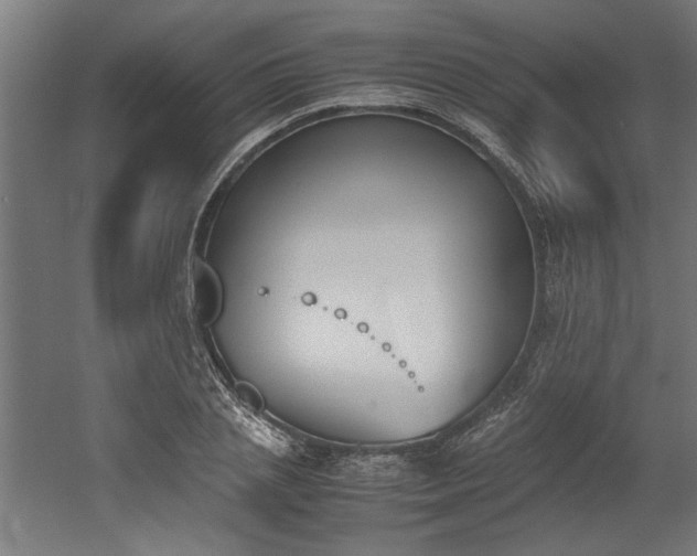 X0000052610837200507011225