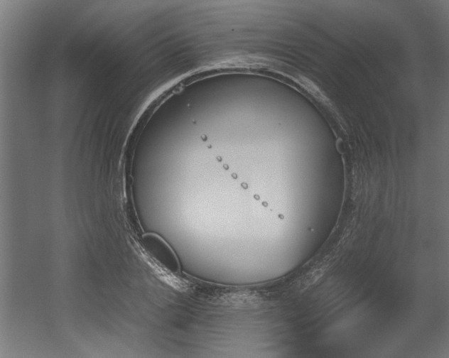 X0000052610838200507011225