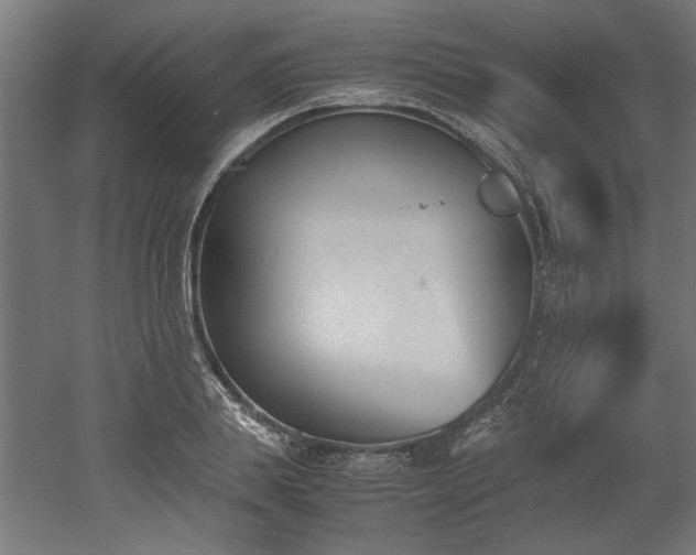 X0000052610839200507011225