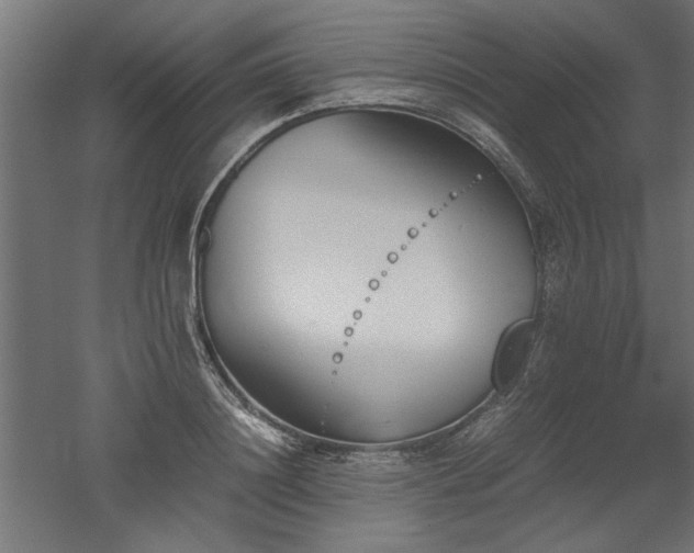 X0000052610844200507011225