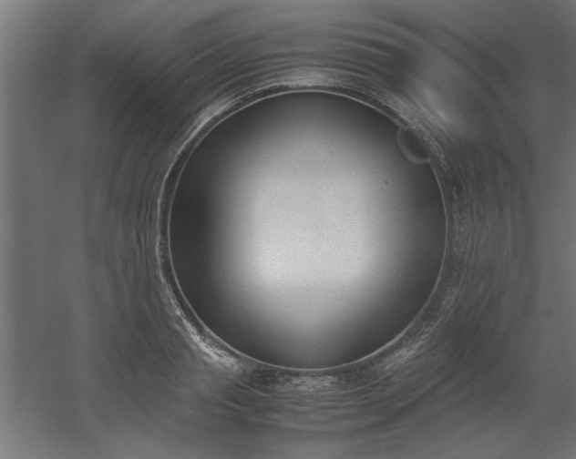 X0000052610845200507011225