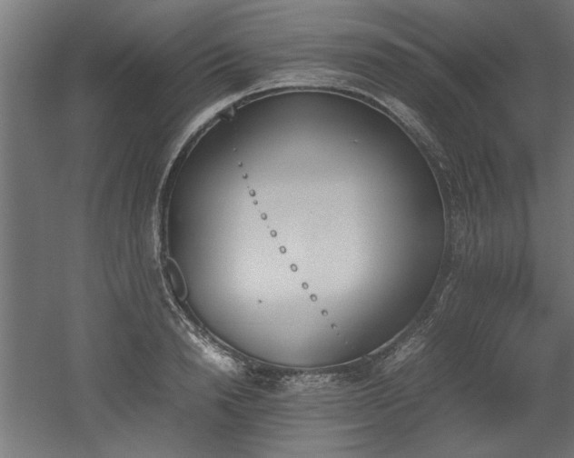 X0000052610846200507011225