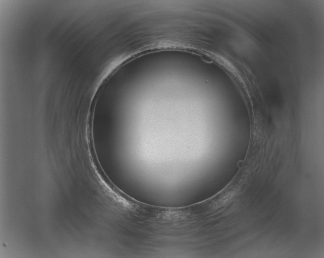 X0000052610847200507011225