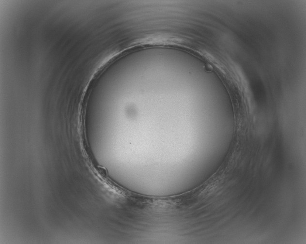 X0000052610848200507011225