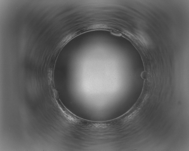 X0000052610849200507011225