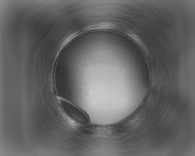 X0000052610850200507011225