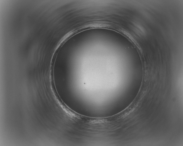 X0000052610853200507011225