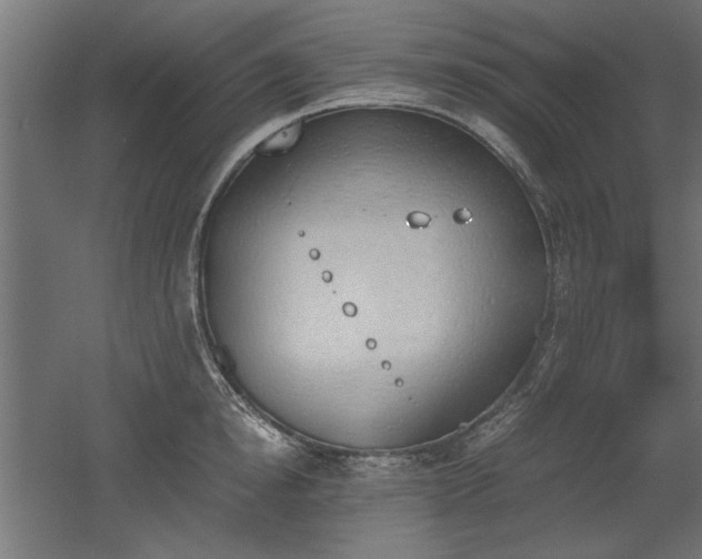 X0000052610854200507011225