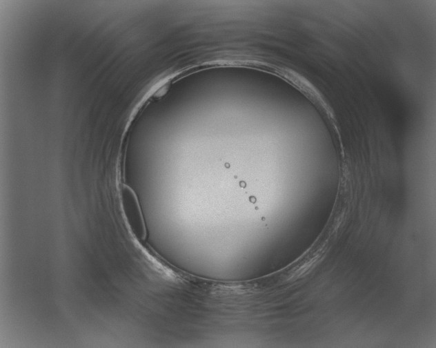 X0000052610855200507011225