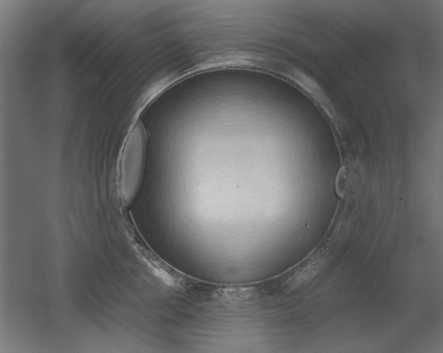 X0000052610858200507011225