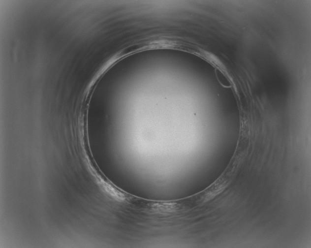 X0000052610859200507011225