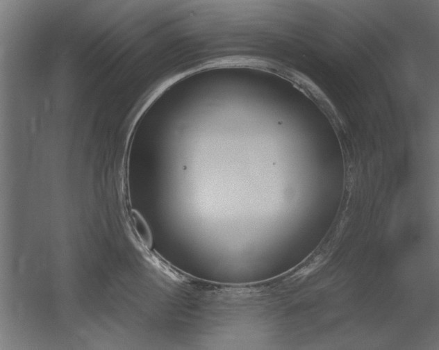 X0000052610860200507011225