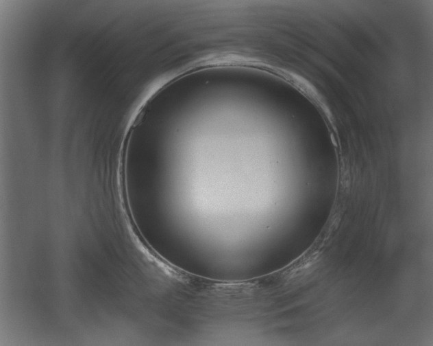 X0000052610863200507011225