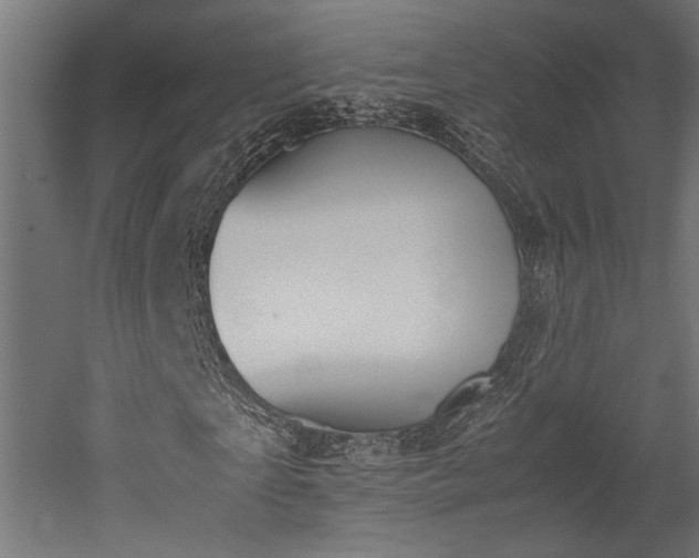 X0000052610865200507011225