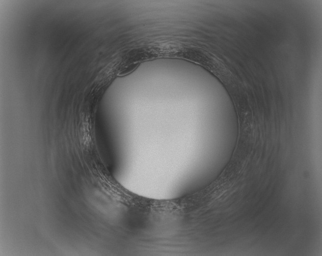 X0000052610866200507011225